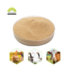 Brewer dried yeast Nutritional Animal Feed Additives brewer yeast powder Promote Healthy & Growth CAS 8013-01-2