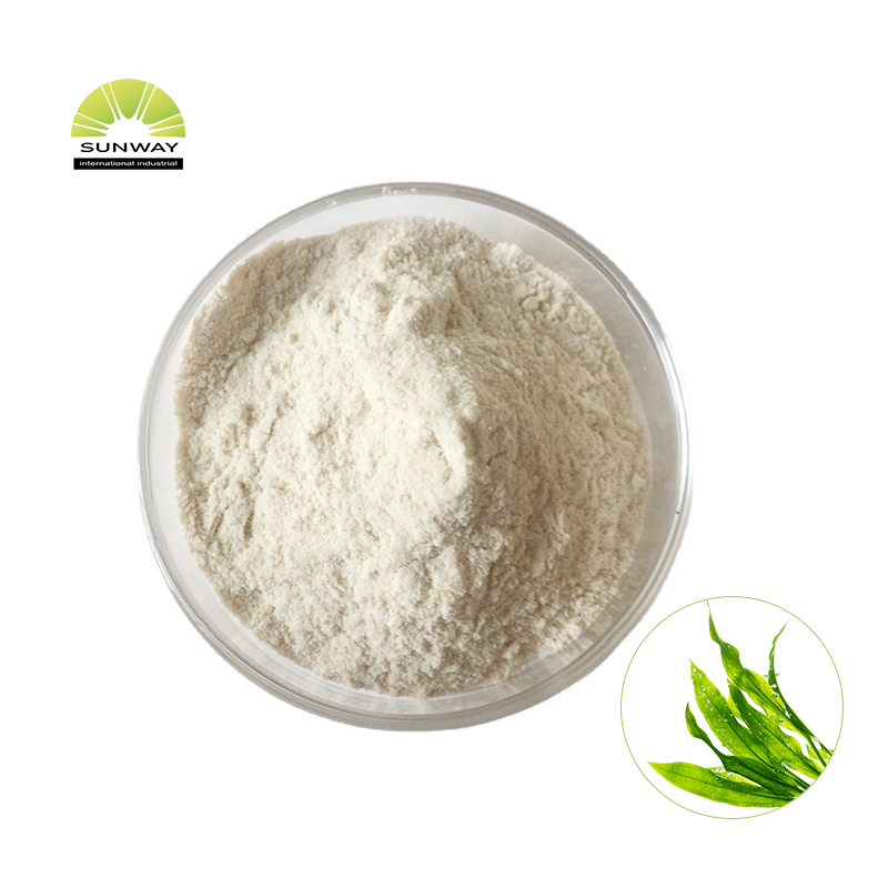 docosahexaenoic acid DHA Bulk Quality assurance Food additives Plant extracts docosahexaenoic acid DHA powder