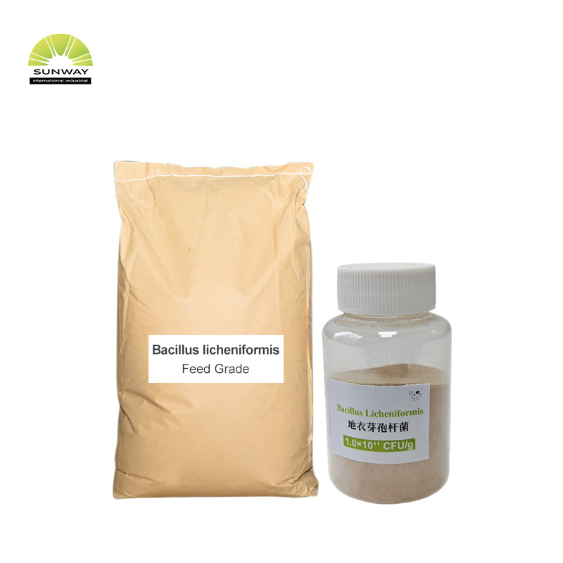 Bacillus Licheniformis Powder 20 Billion CFU/g Feed Grade Animal Gut Health Probiotic for Feed Additive