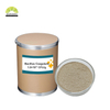 Feed Grade Bacillus Coagulans Probiotic Bacillus Coagulans Powder for Poultry