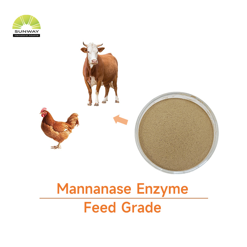 Feed Grade 50000u/g Mannanase Enzyme Beta Mannanase for Enhance Animal Immunity