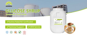 葡萄糖浆甲乙封面.jpg