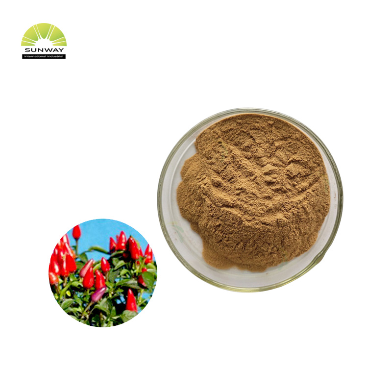 SUNWAY GMO Free Grains of Paradise Aframomum Melegueta Extract Powder Grains of Paradise Seed Extract