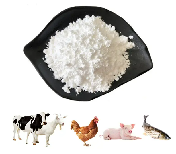 Amino Acids for Animal Feed