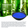 Food Grade Natural Blue Color Pigment Spirulina E18 Phycocyanin Powder