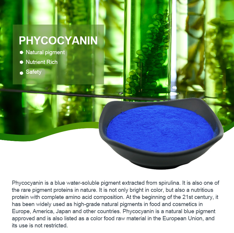 Food Grade Natural Blue Color Pigment Spirulina E18 Phycocyanin Powder