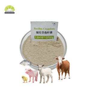 Feed Grade Bacillus Coagulans Probiotic Bacillus Coagulans Powder for Poultry