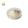 SUNWAY Highest Enzyme Activity Alkaline Protease Powder Detergent 9025-49-4 with Lowest Price Raw Material Bulk