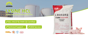 赖氨酸盐酸盐封面.jpg