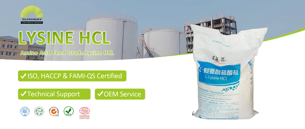赖氨酸盐酸盐封面.jpg