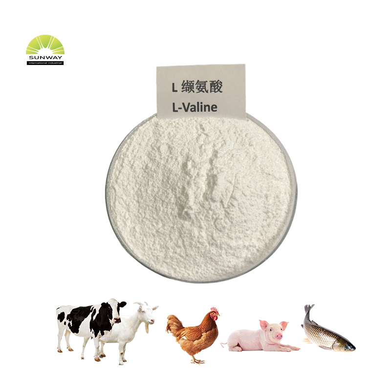 SUNWAY Feed Grade Amino Acid Valine 99% for Pigs And Poultry CAS: 72-18-4