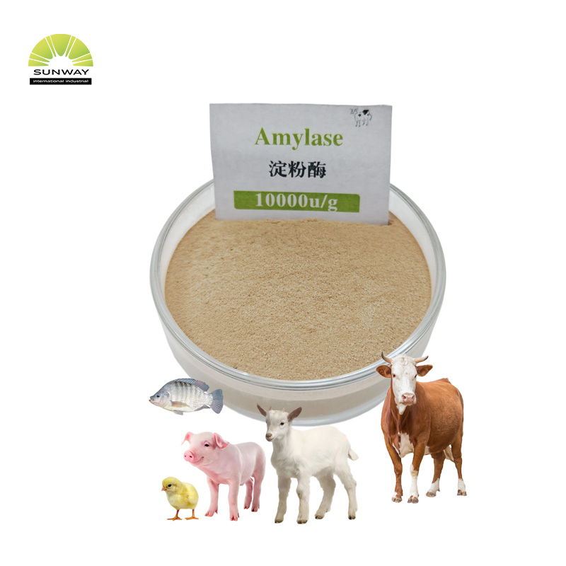High Quality Thermostable Alpha-amylase Enzyme Powder Price