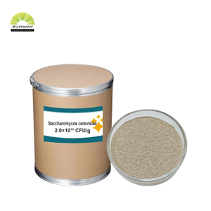 Factory 20 Billion Saccharomyces Cerevisiae Brewers Yeast Powder Animal Feed Additive for Poultry Livestock Pig Cattle Sheep