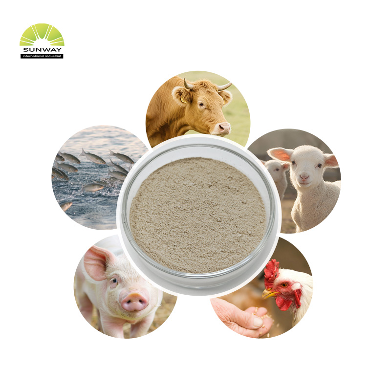 Feed Grade Bacillus Coagulans Probiotic Bacillus Coagulans Powder for Poultry