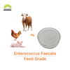Factory Supply Enterococcus Faecalis 100 Billion Feed Additive Enterococcus Faecalis Powder for Animal