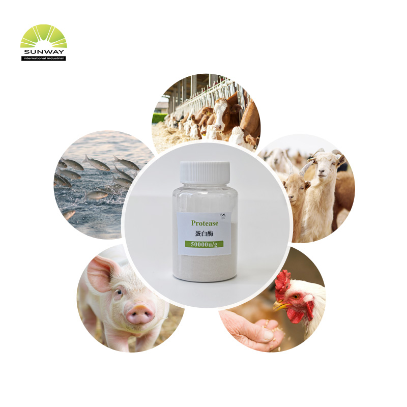 Factory Supply Feed Grade Food Grade Alkaline Protease Enzyme Powder Cas 9014-01-1