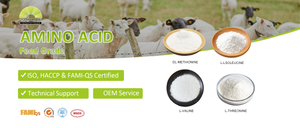 氨基酸.jpg