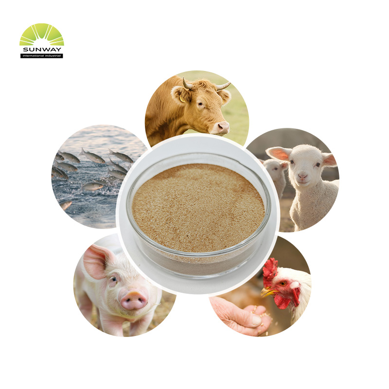Bacillus Licheniformis Powder 20 Billion CFU/g Feed Grade Animal Gut Health Probiotic for Feed Additive