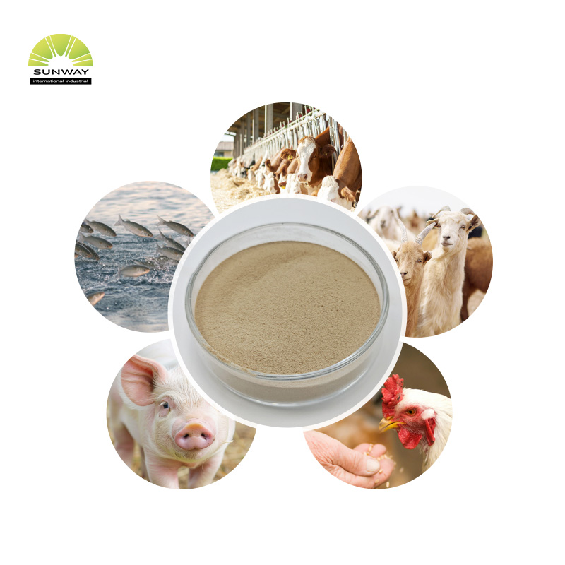 Feed Additives 25kg Bag 50000u/g Beta Dextranase Enzyme Powder for Enhance Immunity