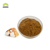 SUNWAY Wholesale price Puerarin 40% Kudzu Root Pueraria lobata extract Powder