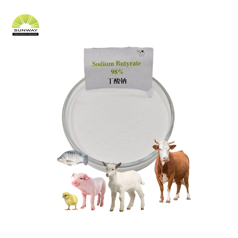 Feed Grade 98% 40% 70% 90% Sodium Butyrate Powder Price