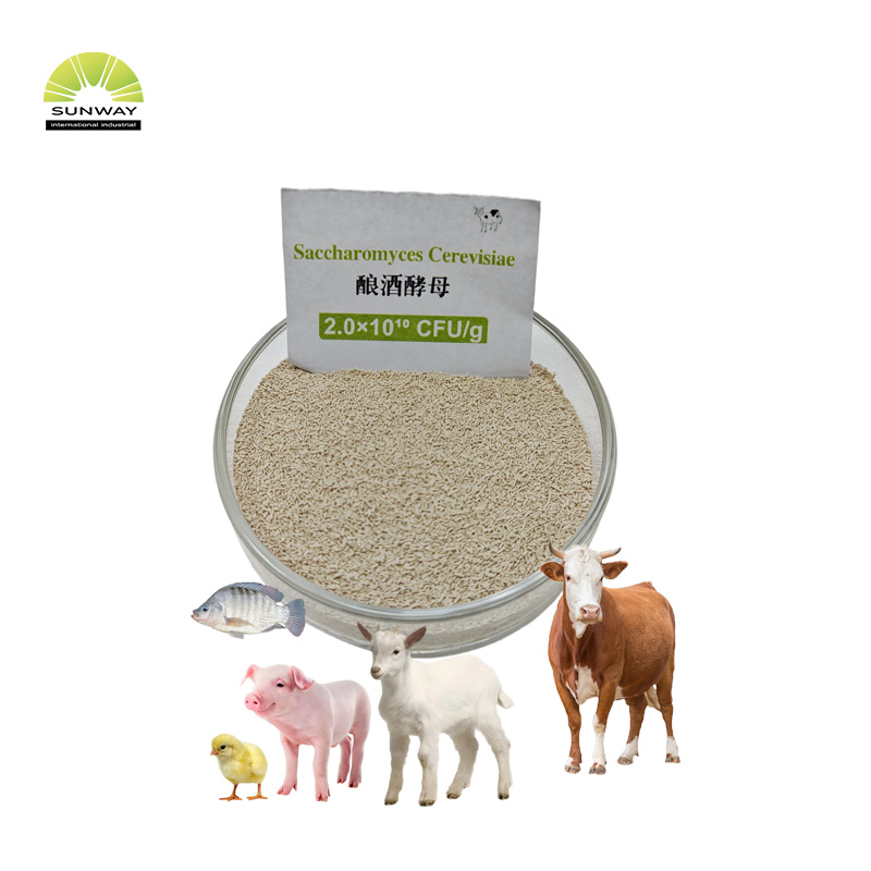 Factory 20 Billion Saccharomyces Cerevisiae Brewers Yeast Powder Animal Feed Additive for Poultry Livestock Pig Cattle Sheep