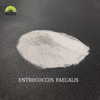Factory Supply Enterococcus Faecalis 100 Billion Feed Additive Enterococcus Faecalis Powder for Animal