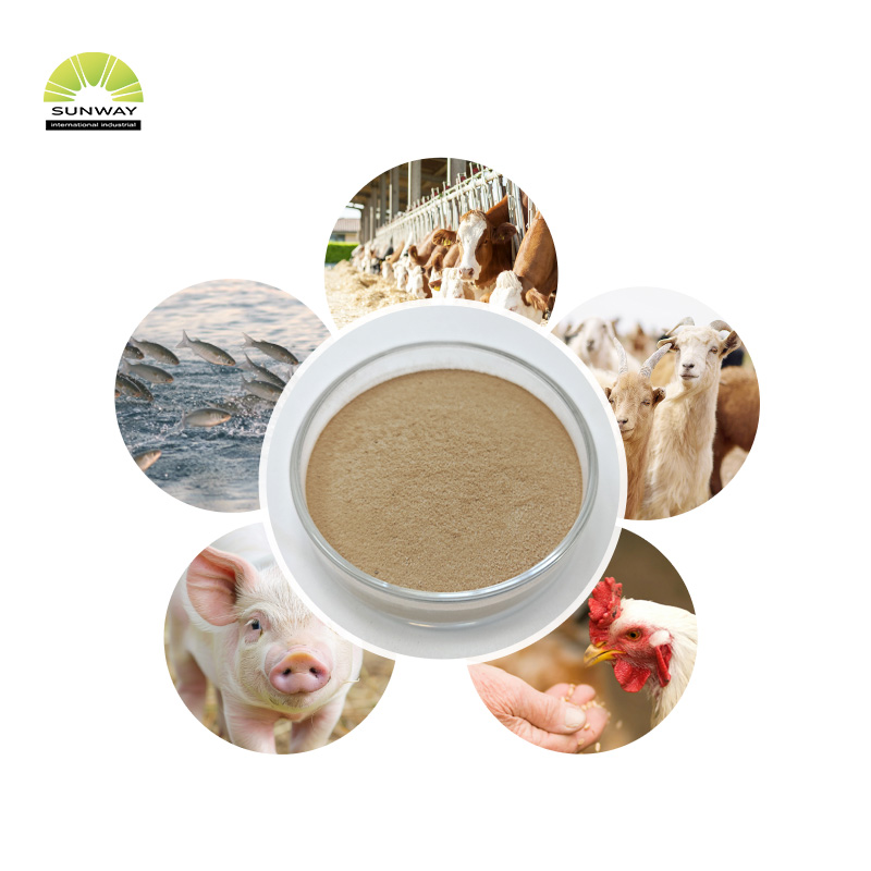 High Quality Thermostable Alpha-amylase Enzyme Powder Price