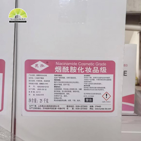 Factory Supply Cosmetic Raw Material Niacinamide Vitamin B3 Powder for Brightening Serum