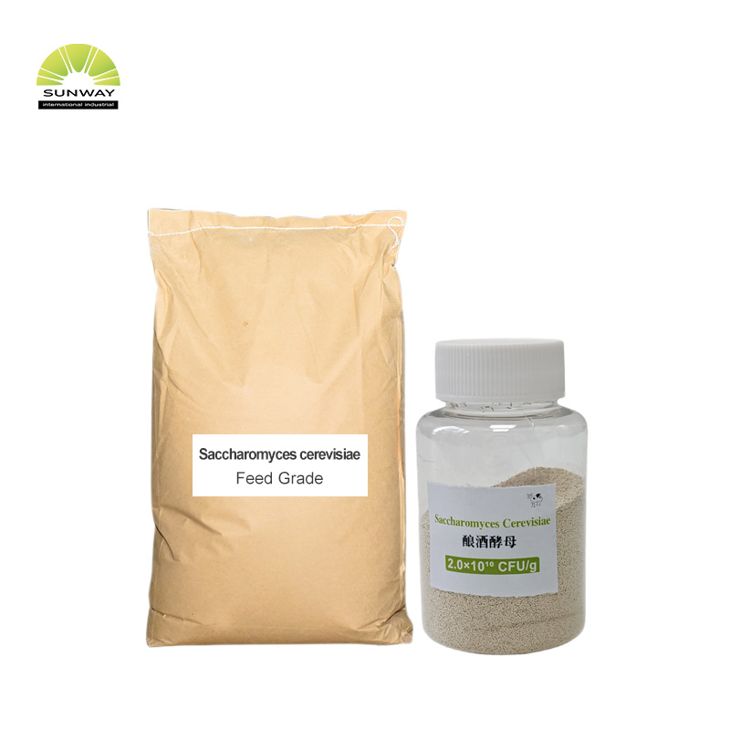 Factory 20 Billion Saccharomyces Cerevisiae Brewers Yeast Powder Animal Feed Additive for Poultry Livestock Pig Cattle Sheep
