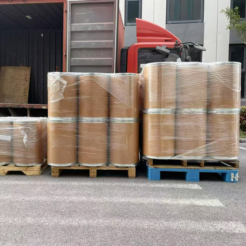 Feed Grade Bacillus Coagulans Probiotic Bacillus Coagulans Powder for Poultry