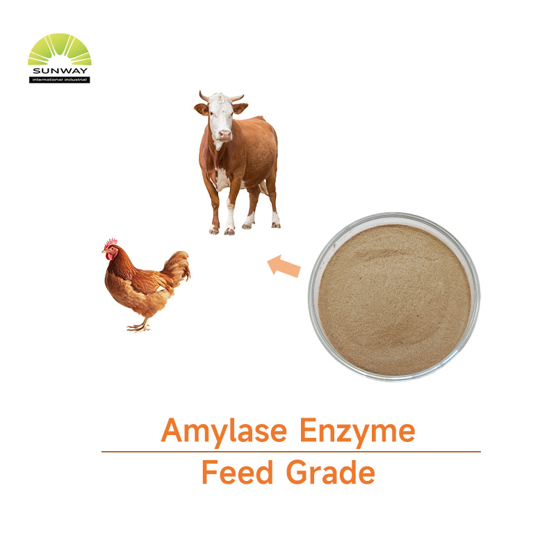 High Quality Thermostable Alpha-amylase Enzyme Powder Price