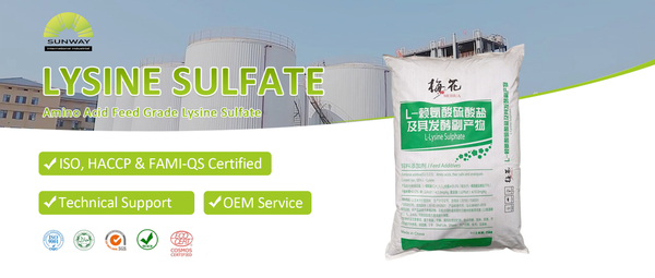 赖氨酸硫酸盐封面.jpg