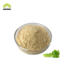 SUNWAY Supply Pure Apigenin Extract Powder Bulk Food Grade Natural Chamomile Extract Powder 1% Apigenin Powder