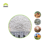 SUNWAY 22% MCP Feed Grade Monocalcium Phosphate Growth Promoting