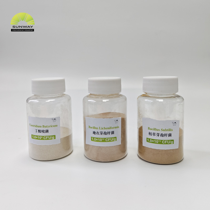 Bacillus Licheniformis Powder 20 Billion CFU/g Feed Grade Animal Gut Health Probiotic for Feed Additive