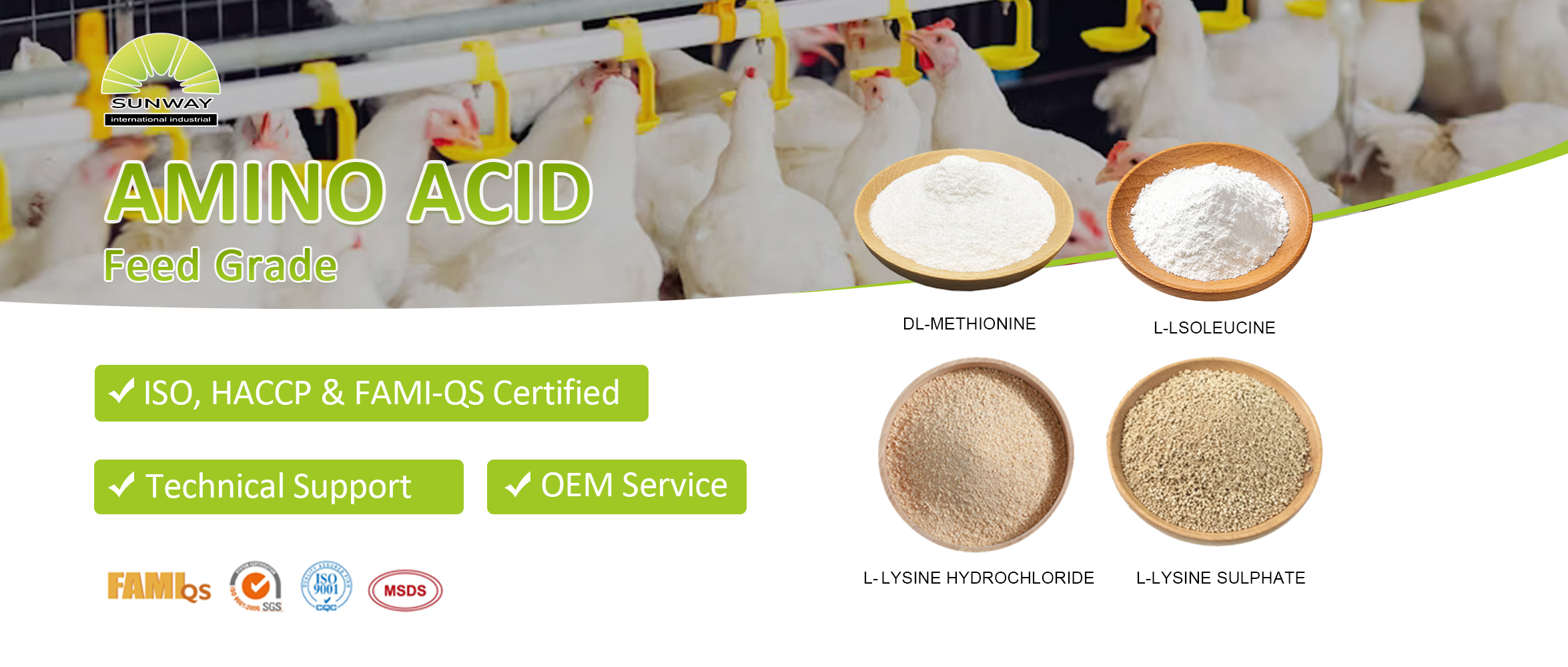 Customizing Amino Acid Supplementation for Different Growth Stages