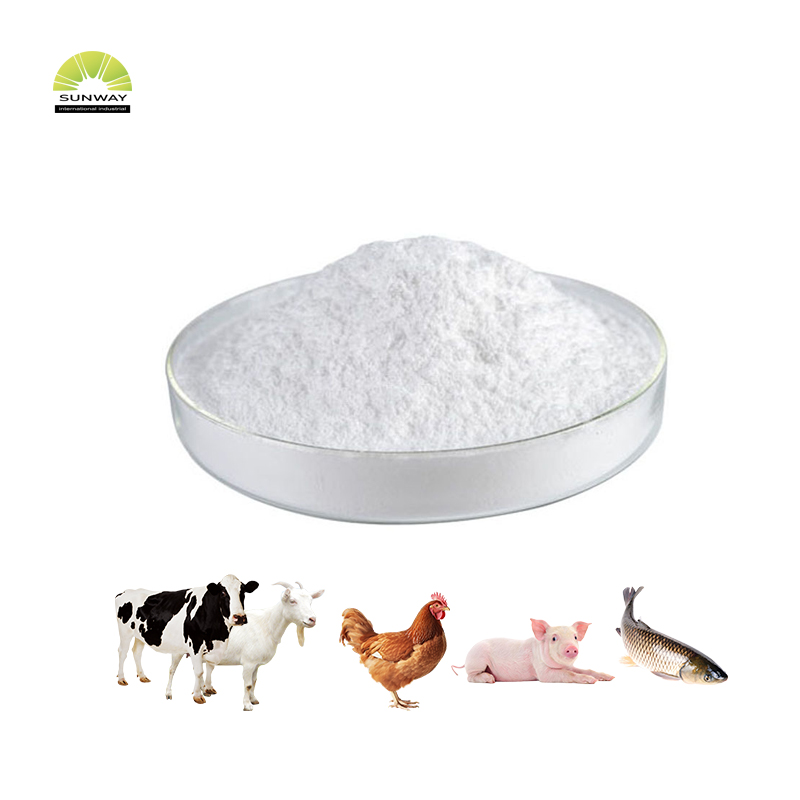 SUNWAY Factory price 99.5% Food Grade Preservatives Calcium Propionate E282 Price