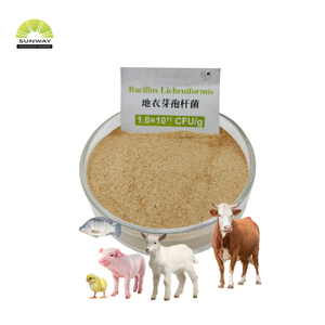 Bacillus Licheniformis Powder 20 Billion CFU/g Feed Grade Animal Gut Health Probiotic for Feed Additive