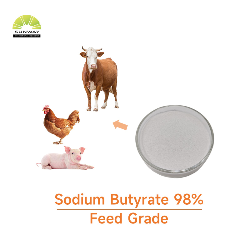 Feed Grade 98% 40% 70% 90% Sodium Butyrate Powder Price