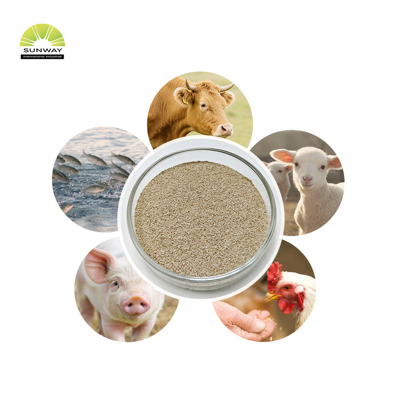 Factory 20 Billion Saccharomyces Cerevisiae Brewers Yeast Powder Animal Feed Additive for Poultry Livestock Pig Cattle Sheep