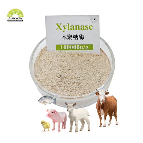 Feed Grade Xylanase Enzyme Thermostable Xylanase for Animal Feeds Poultry