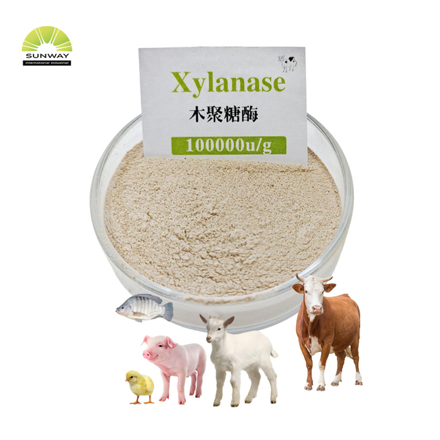 SUNWAY Feed Grade Xylanase Enzyme Thermostable Xylanase for Animal Feeds Poultry