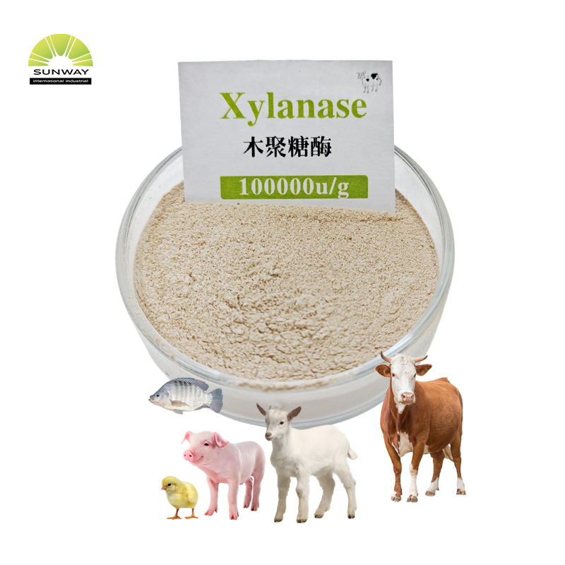 SUNWAY Feed Grade Xylanase Enzyme Thermostable Xylanase for Animal Feeds Poultry
