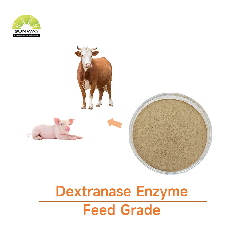Feed Additives 25kg Bag 50000u/g Beta Dextranase Enzyme Powder for Enhance Immunity
