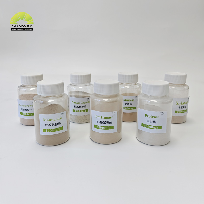 SUNWAY Feed Grade Xylanase Enzyme Thermostable Xylanase for Animal Feeds Poultry