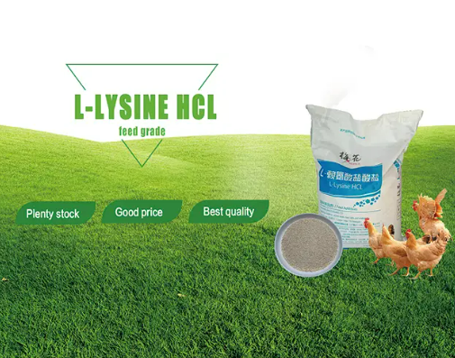 Lysine HCL2.png